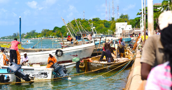 lamu-1