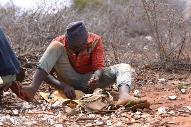 48793192762_cfcd744071_k