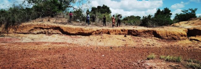 51219124584_cfcccb54d4_k-1